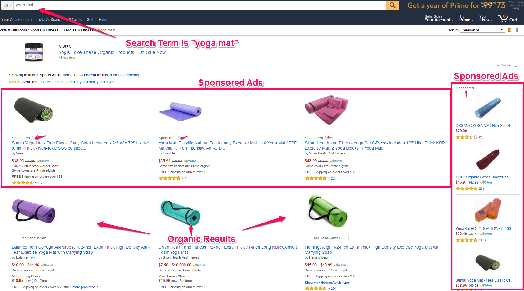 Where Do Amazon PPC Ads Appear?